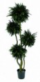 /album/stromy/thuja-jpg/
